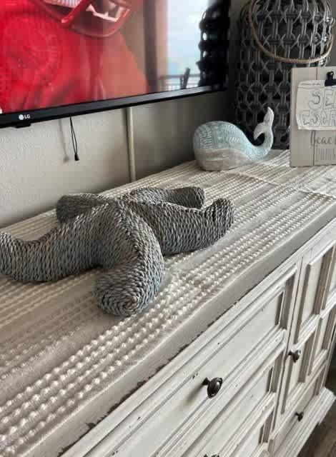 הוילה מירטל ביץ' *Oceanfront Retreat*King Bed *Great Pools, Hot Tubs+++*O41 מראה חיצוני תמונה